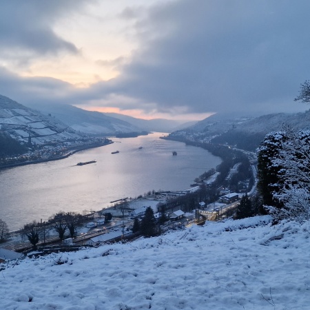 Größeres Bild ansehen